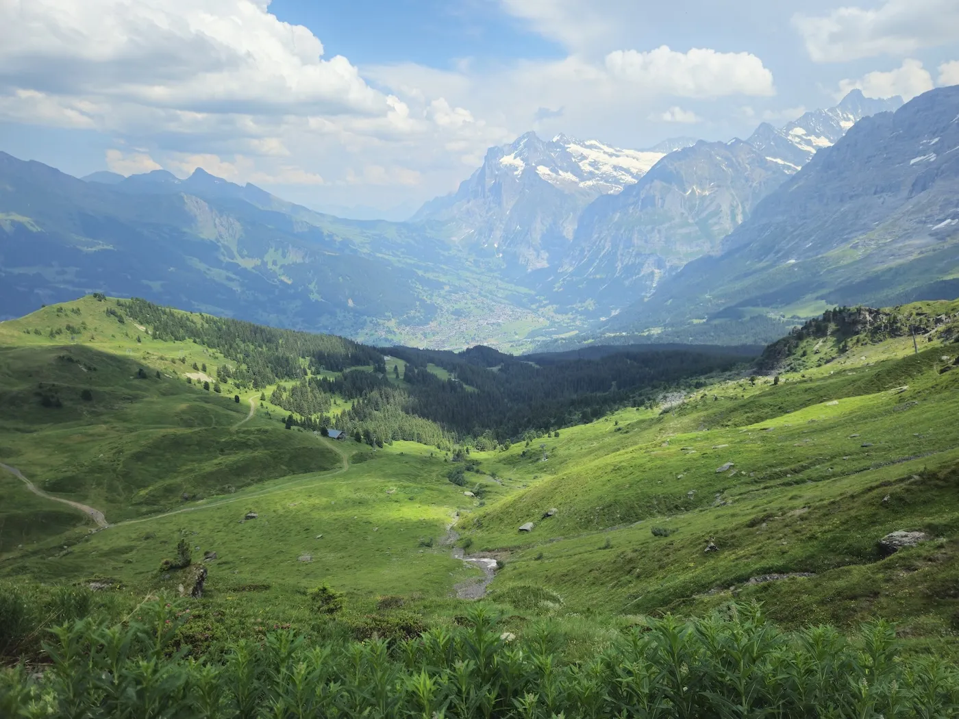 A wide view across a green Alpine valley toward snow-capped mountains